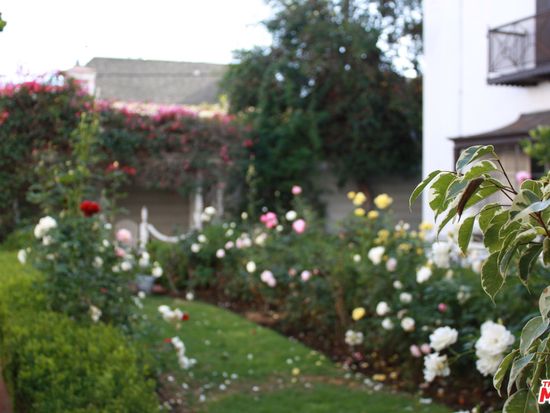 9936 Durant Dr Apt B Beverly Hills Ca 90212 Zillow 9936 Durant Dr Apt B Beverly Hills Ca 90212