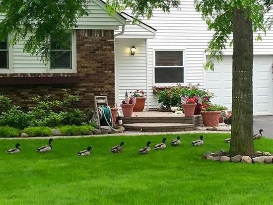 15600 Fry St Plymouth Mi 48170 Zillow