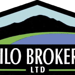 Review of Hilo Downtown Improvement Association