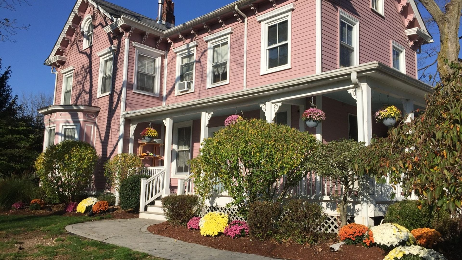 Dr Flowers Randolph Nj Best Flower Site