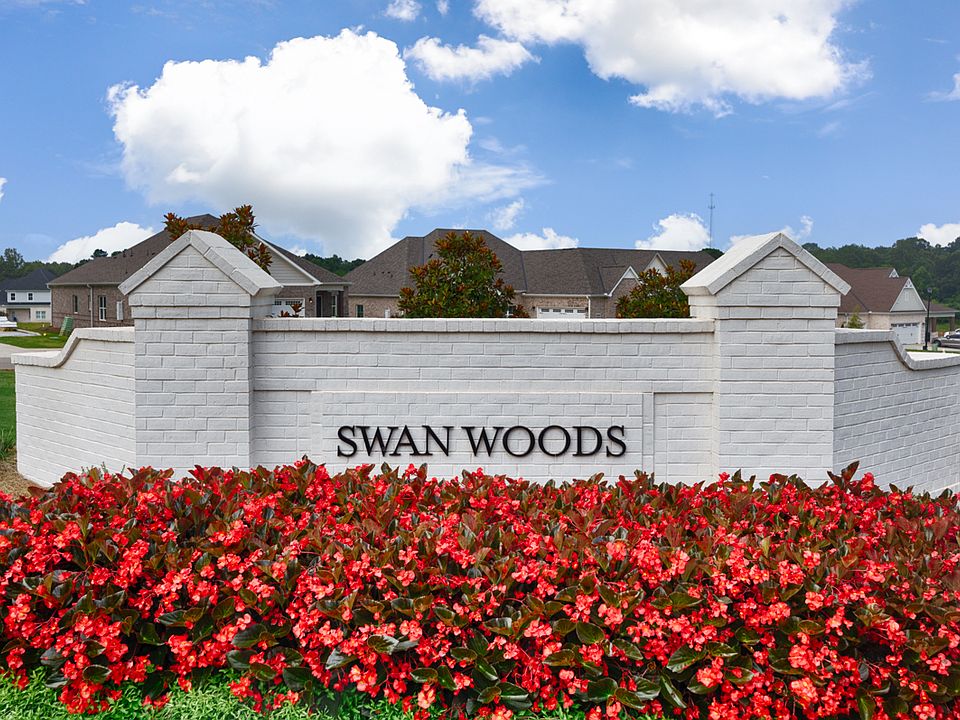swan woods july 2025
