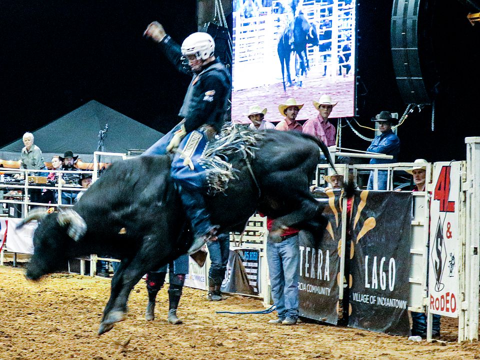 Enjoy a night at the rodeo