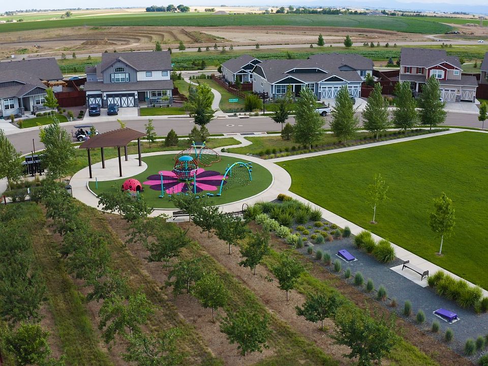 Community Orchard and Playground