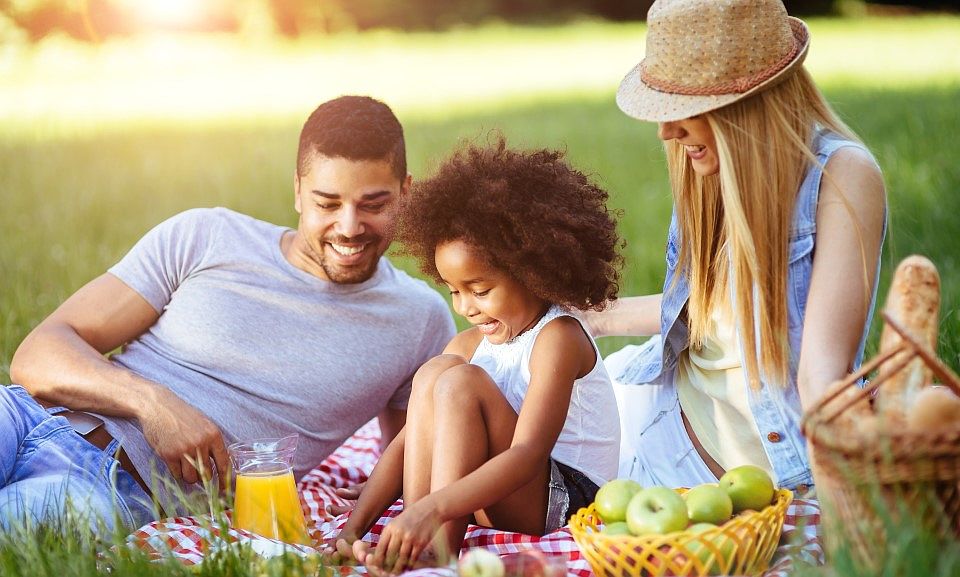 family picnic