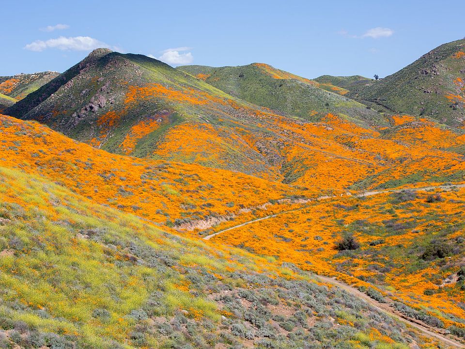 Temescal Mountains Walker Canyon Lake Elsinore, CA